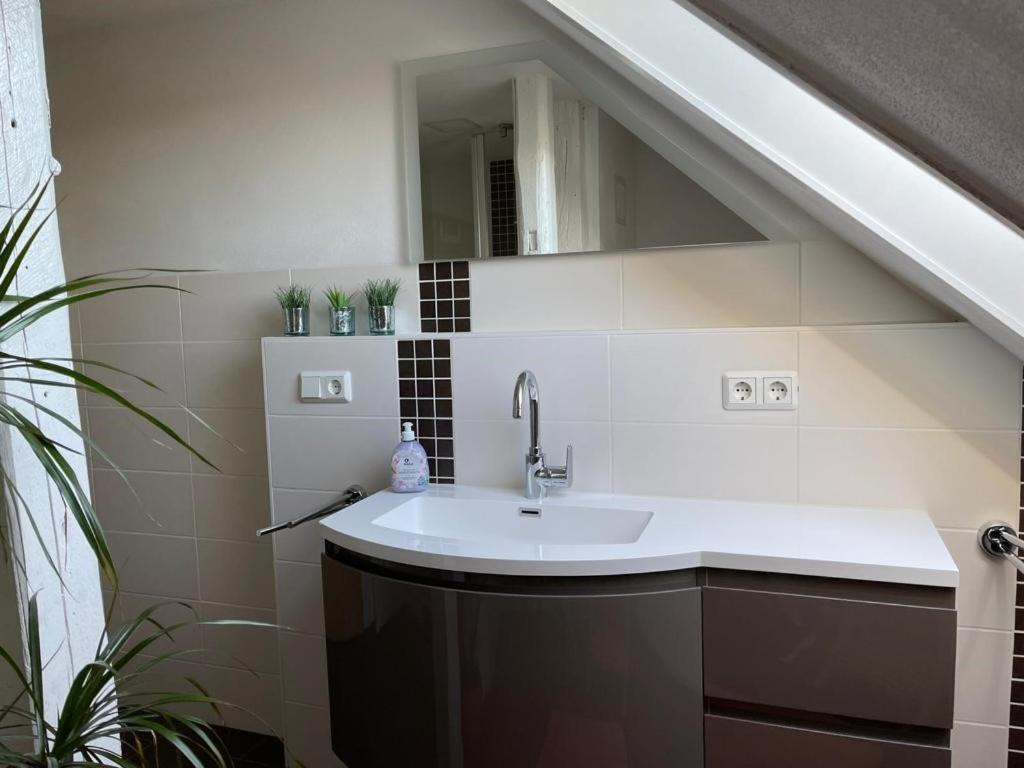 Ferienwohnung Kreft Thale Eksteriør billede